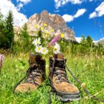 Bergfrühling im Karwendel