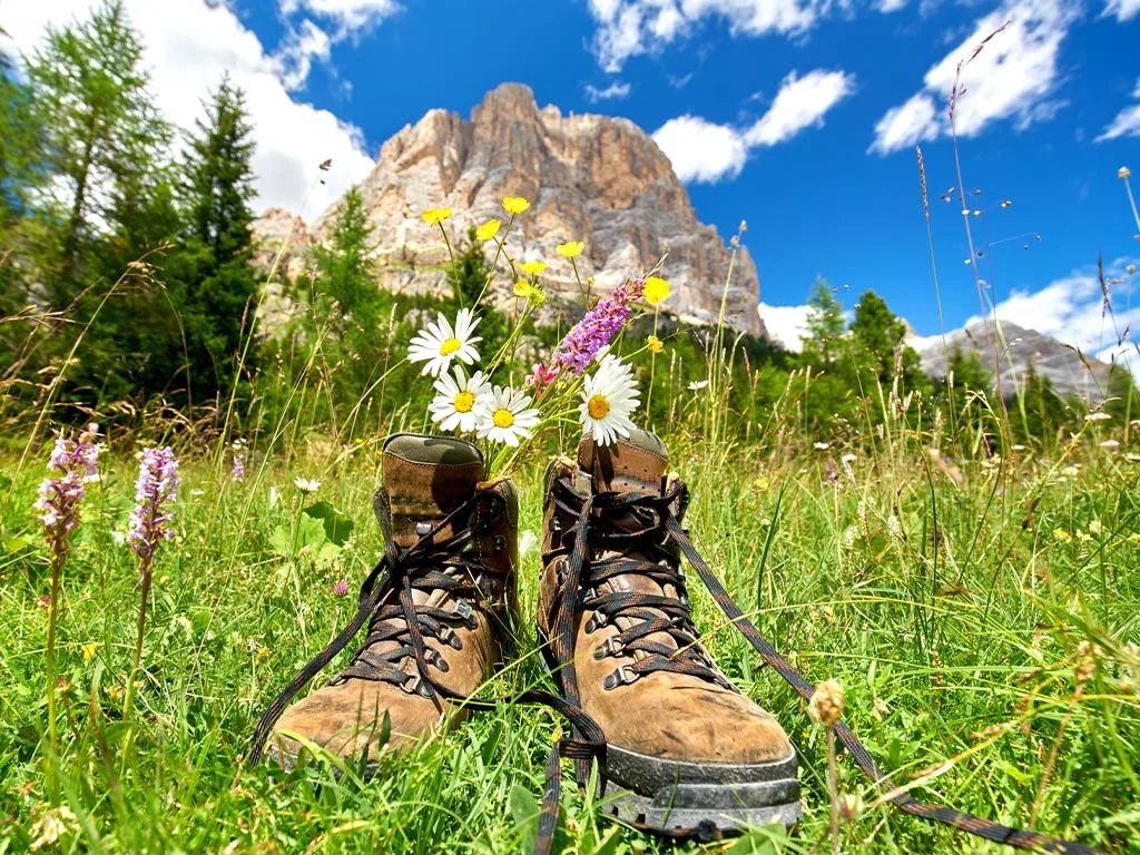 Bergfrühling im Karwendel